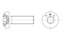 Flachkopfschrauben mit Innensechsrund (I6R)